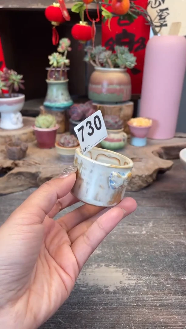 【闪购商品】摆件730知木小芳花盆