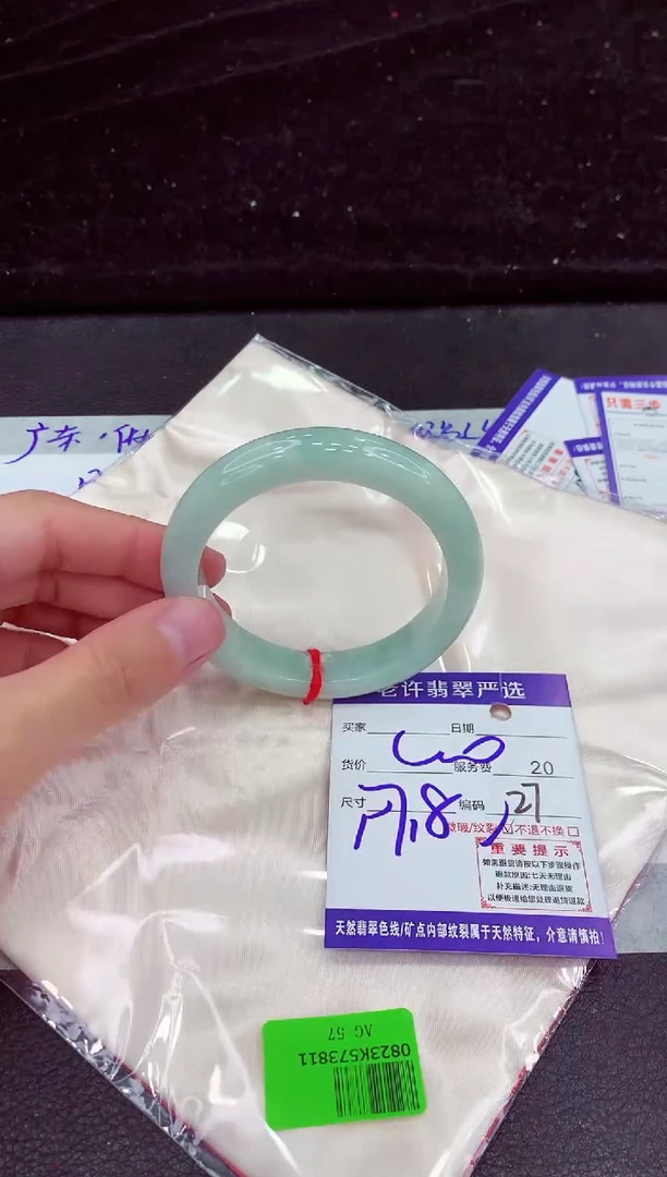 未镶嵌手镯翡翠111111