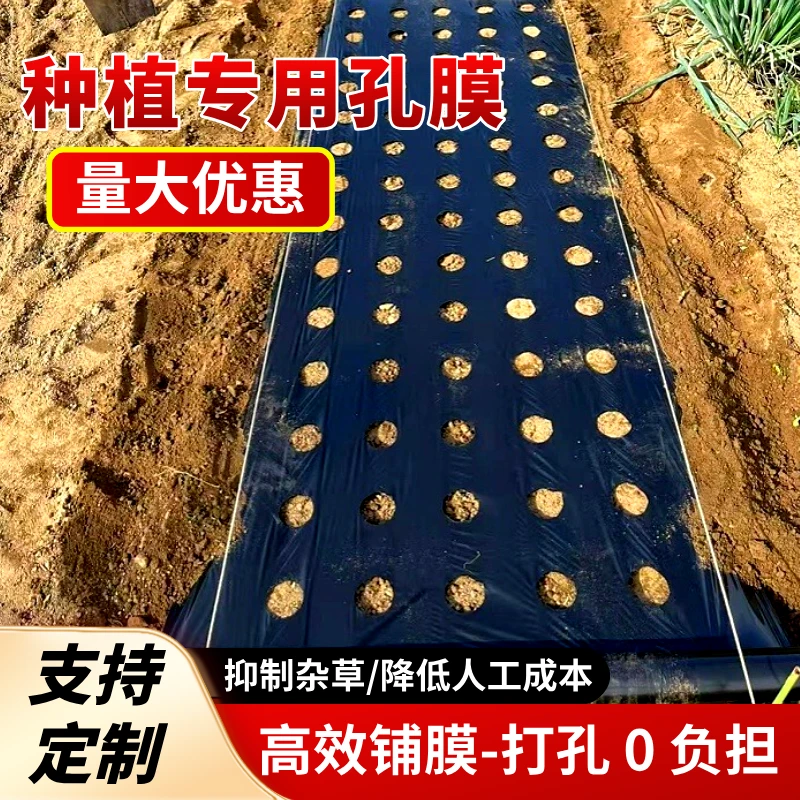 【工厂直发】打孔黑地膜农用种植圆孔豆角辣椒番茄香菇地膜农用薄膜