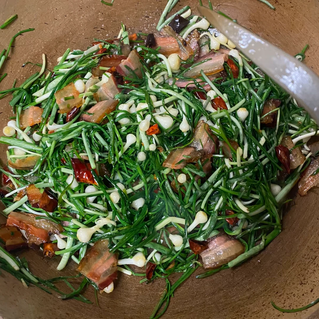 农村大山里土货野葱