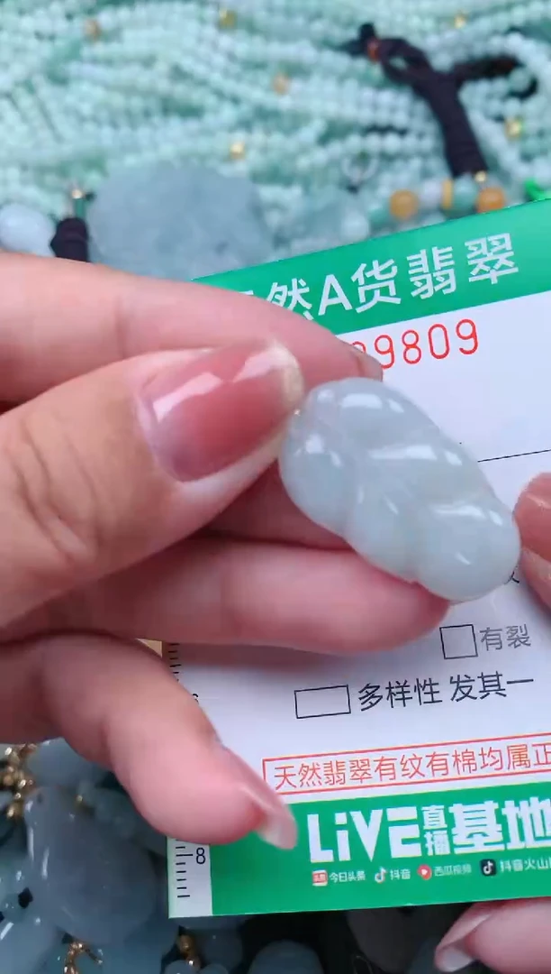 【闪购商品】翡翠颈饰未镶嵌.0009809