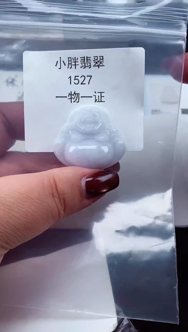 颈饰未镶嵌翡翠缅甸天然A货翡翠1527