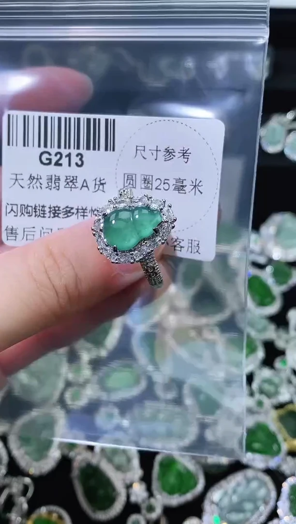 翡翠未镶嵌颈饰精美翡翠-多样性只发一件G213