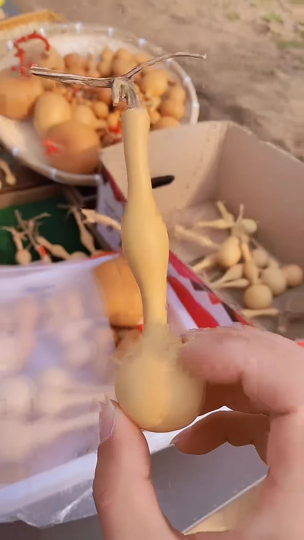 【闪购商品】闪购类型 定向 怡然自远