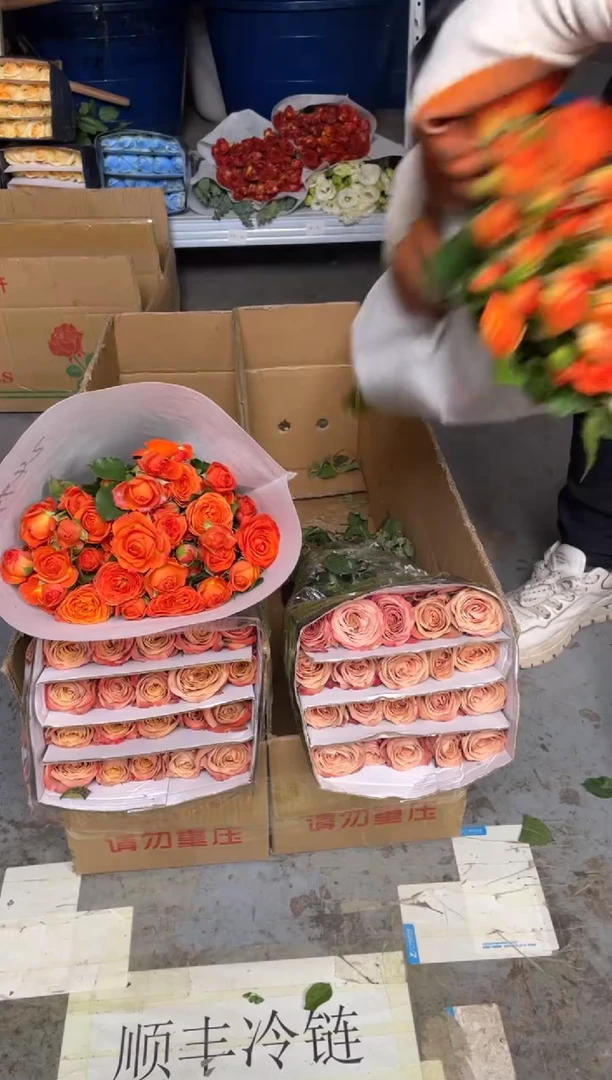 卡布20枝+橙色芭比10枝