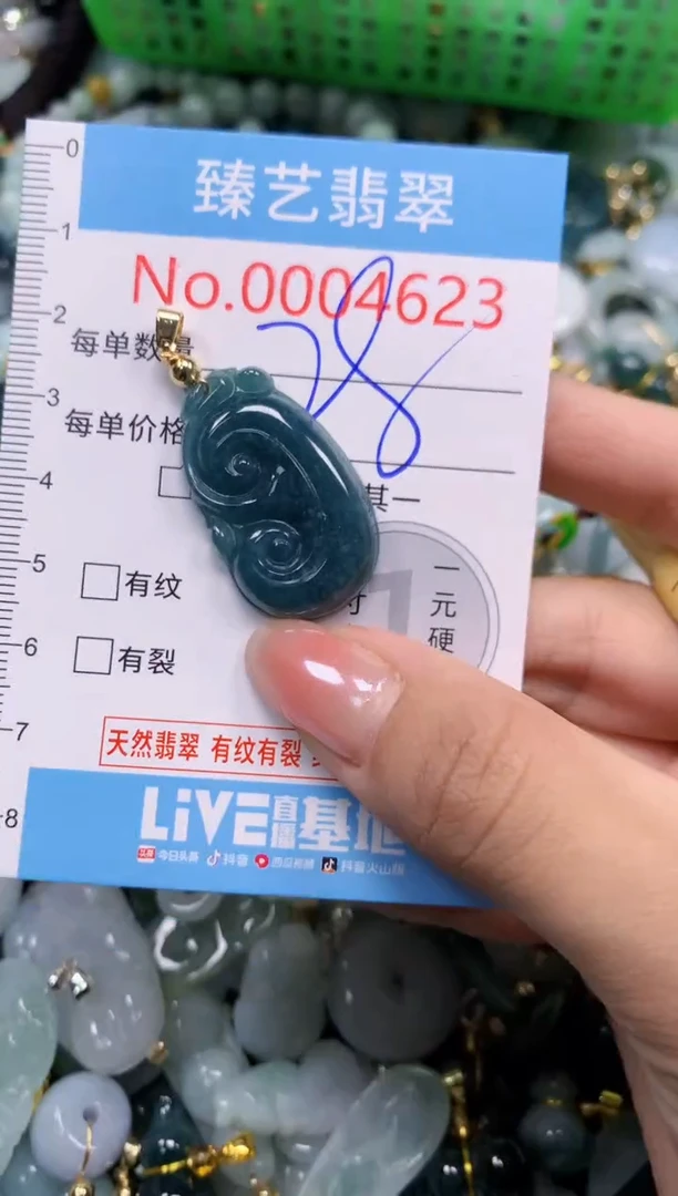 颈饰未镶嵌翡翠4623