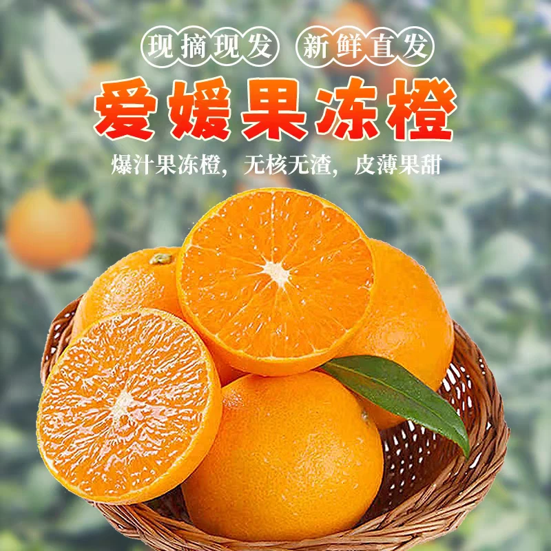 四川眉山爱媛38号果冻橙新鲜应季水果香甜多汁手拨橙