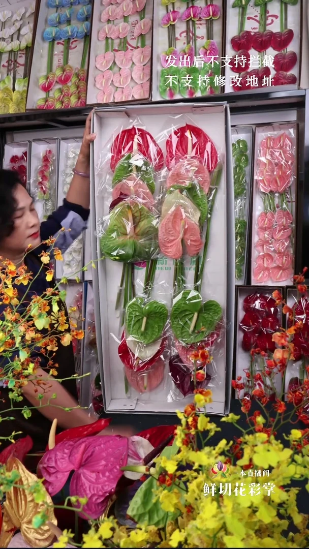 202混色彩掌18支大掌，微瑕无售后