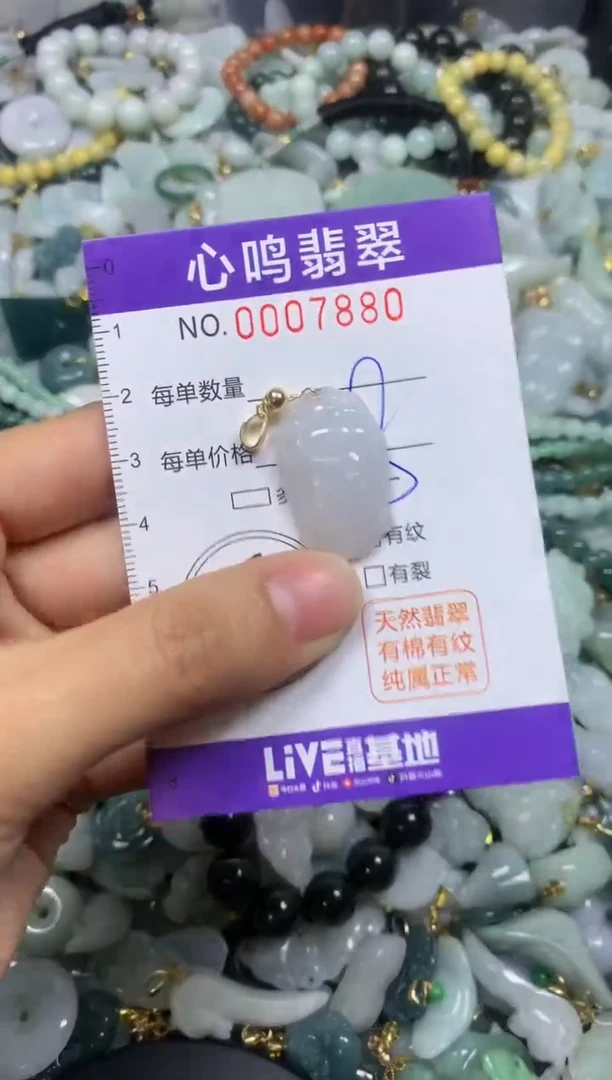 【闪购商品】翡翠颈饰未镶嵌闪购007880