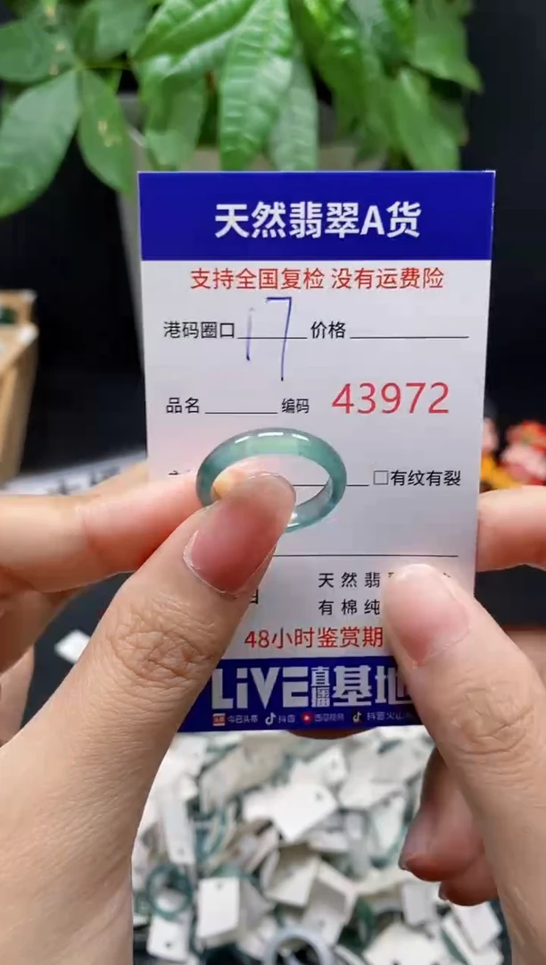 翡翠戒指未镶嵌天然翡翠戒圈3972