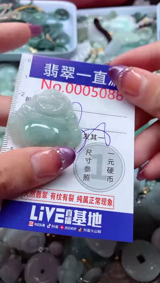 翡翠未镶嵌吊坠(不含链)5088