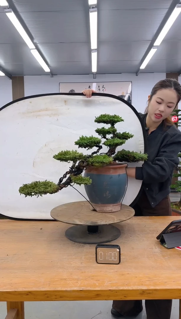 无花朵00000000000