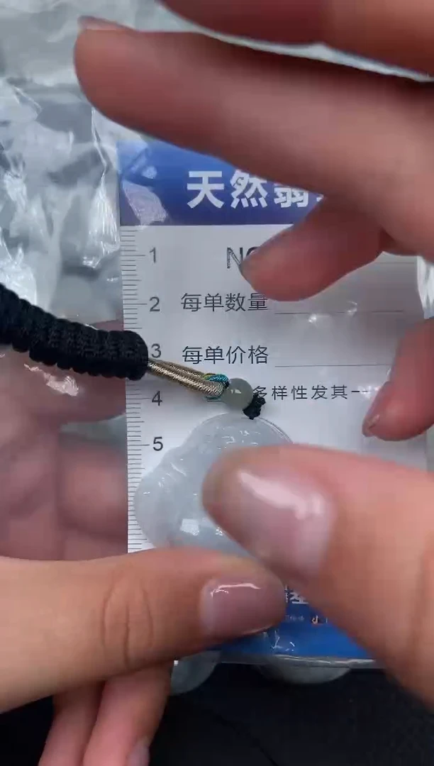 颈饰未镶嵌翡翠纯天然A货翡翠2887