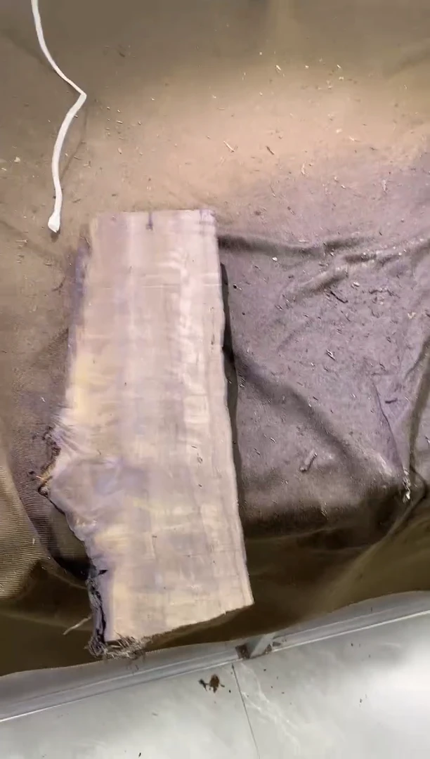 锦***呵金丝楠木原料木材