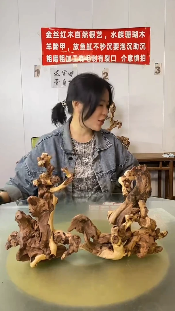 木张金丝红木 羊蹄甲2