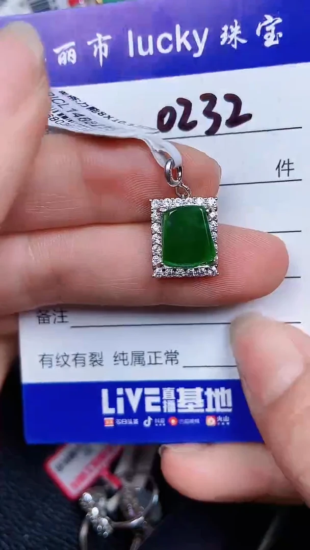 颈饰银S925镶嵌翡翠0232