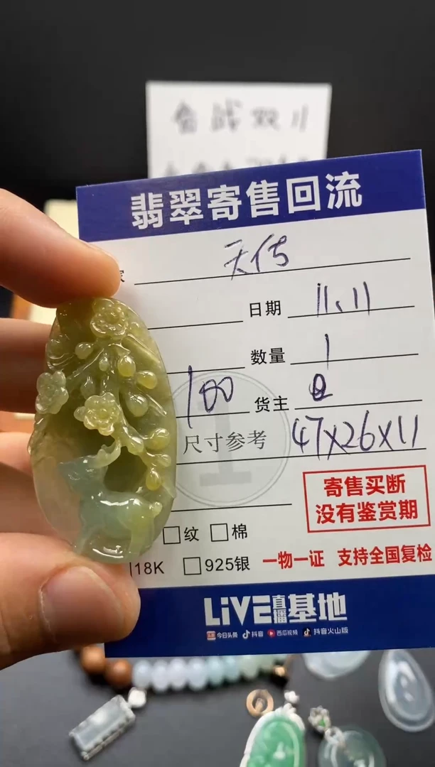 颈饰未镶嵌翡翠天**人3000335