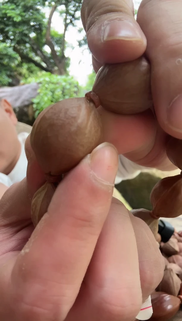手串橄榄核若****回铁核配铁核蜜桃臀四花三通