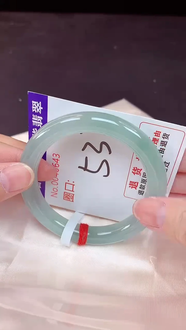 未镶嵌手镯翡翠53（48小时鉴赏期 ）