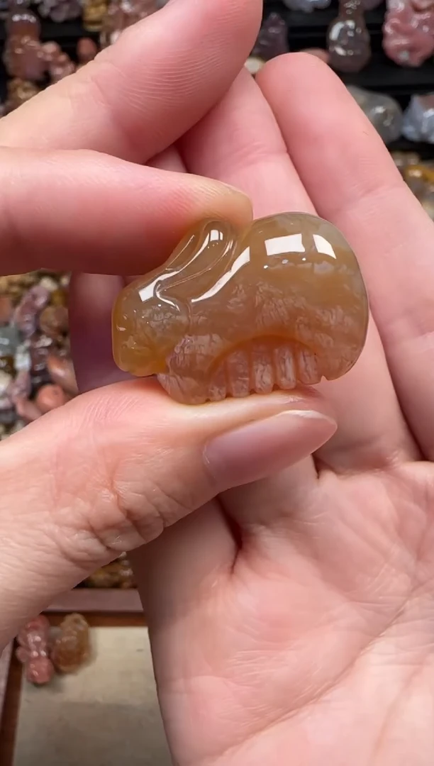 颈饰未镶嵌硅化珊瑚（珊瑚玉）179