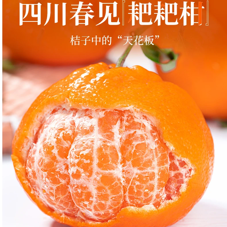 四川春见耙耙柑粑粑柑杷杷柑正宗水果新鲜整箱当季丑桔橘w