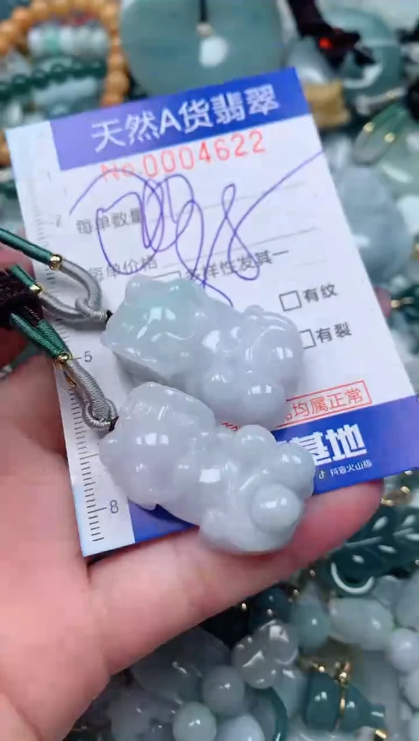 【闪购商品】翡翠颈饰未镶嵌00004621