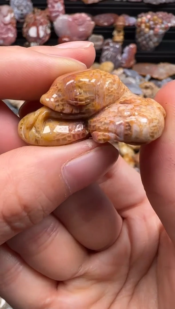 【闪购商品】硅化珊瑚（珊瑚玉）颈饰未镶嵌718