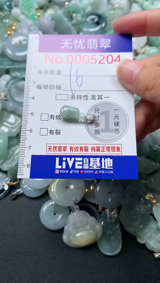 颈饰未镶嵌翡翠5204