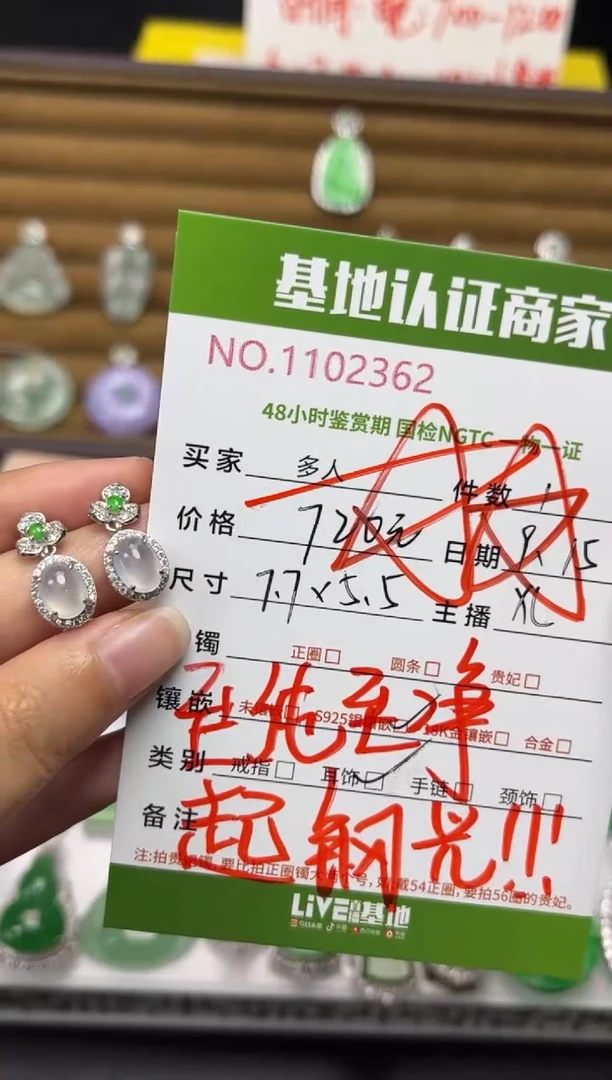 银S925镶嵌翡翠耳饰多人