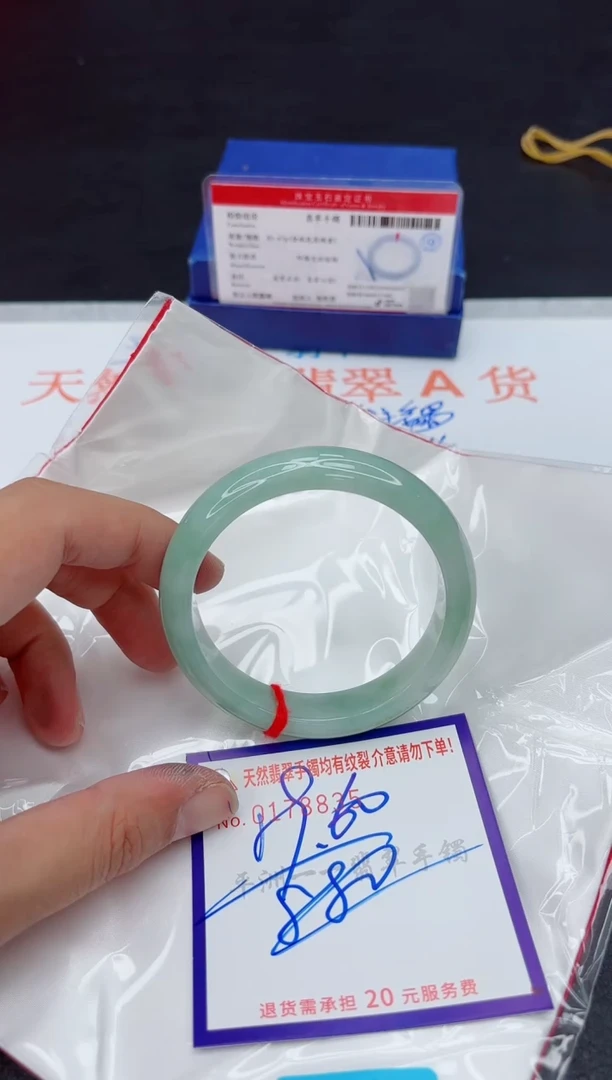 未镶嵌手镯翡翠1111111