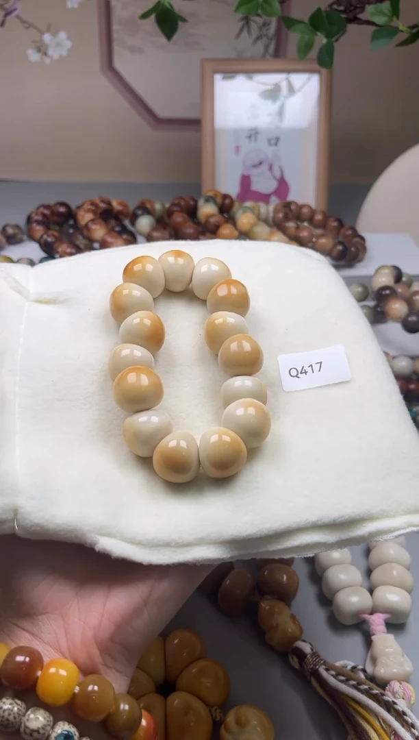 手串菩提根/象牙果Q417牙果蒜瓣20mm一串通货随机