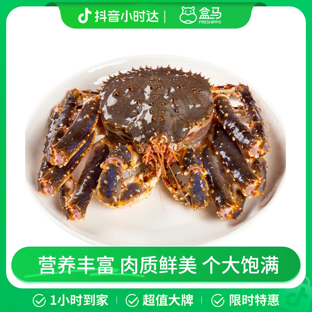 鲜活俄罗斯帝王蟹 1.5-2kg/只 预售
