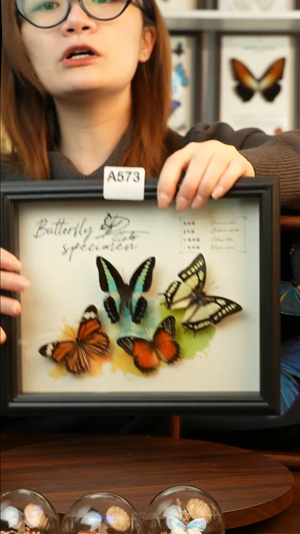 四色蝴蝶组合（10寸欧式黑框）A573