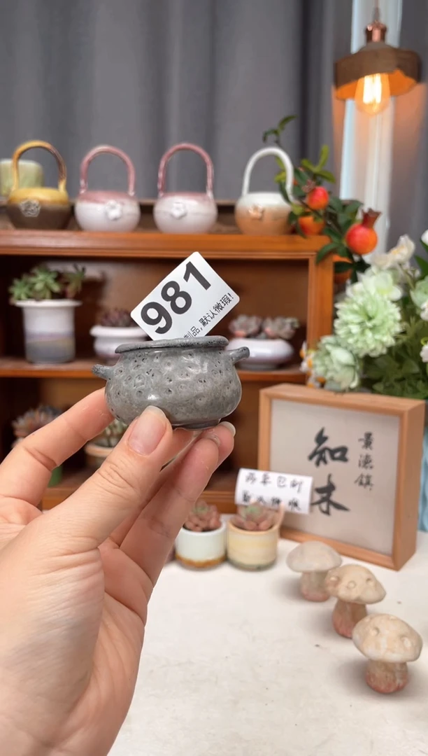 瓷片981知木小芳花盆直播编号