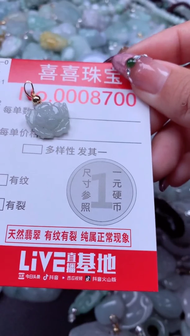 颈饰未镶嵌翡翠8700