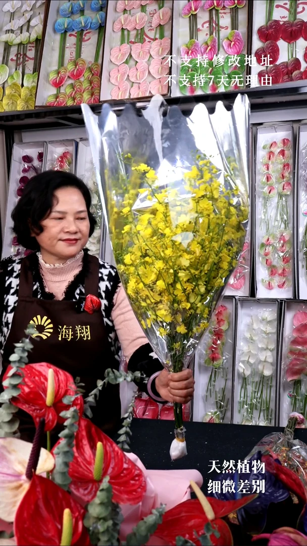 西****人B级跳舞兰1束