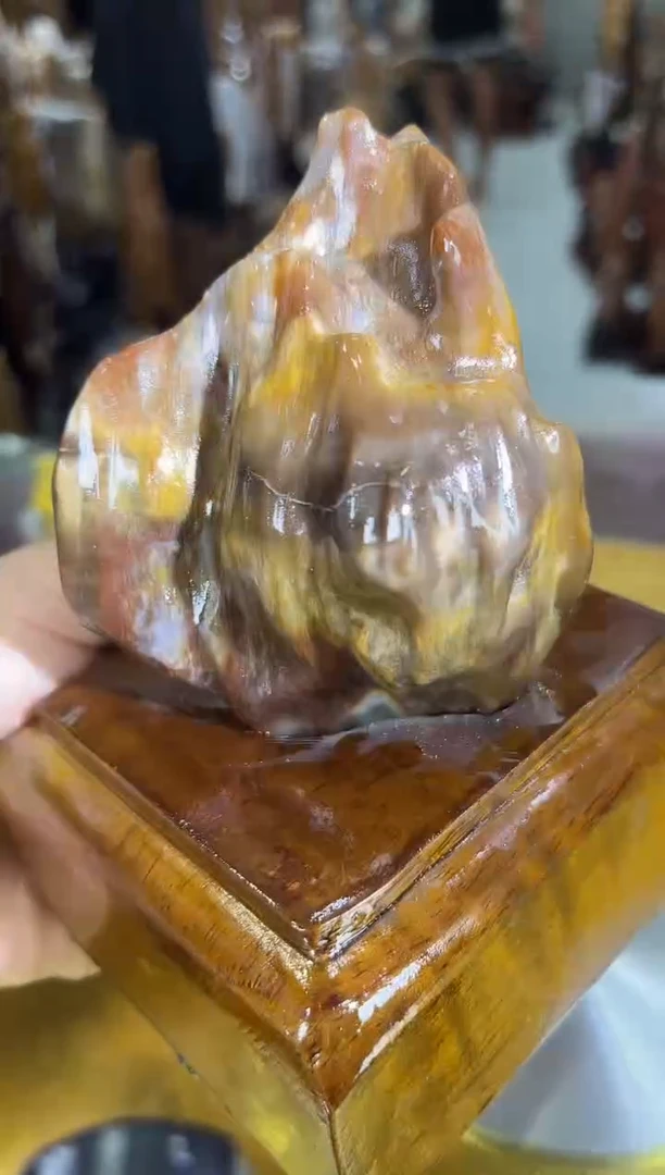 硅化玉珠宝奇石未镶嵌缅甸天然树化玉