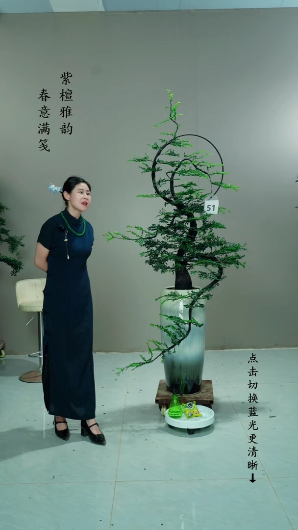 无花朵龍51号链接