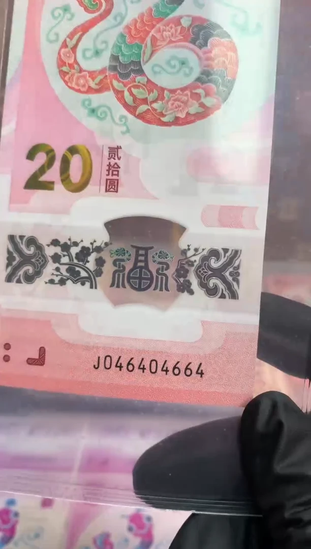 【闪购商品】塑料蛇钞龙钞 2钞全同号 404664