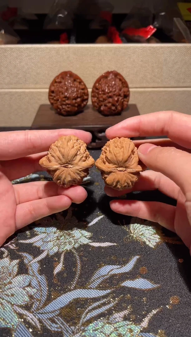 把件文玩核桃107白狮子35福利品