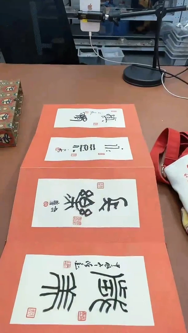 【闪购商品】书法书法多老师SF400140吉语册页