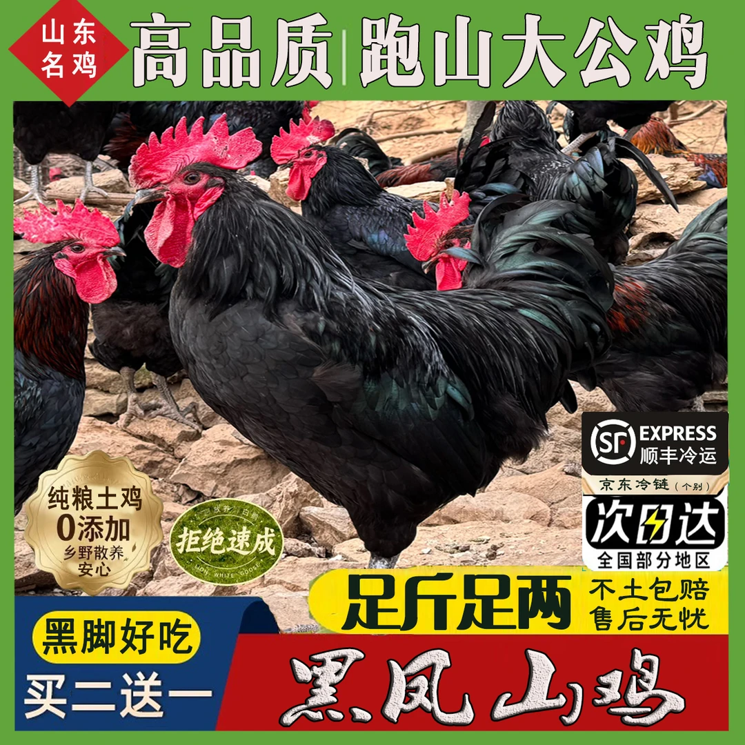 【鸡王/黑脚土鸡】3只公鸡买2送1 毛重15-16斤净重9-10斤现杀带内脏