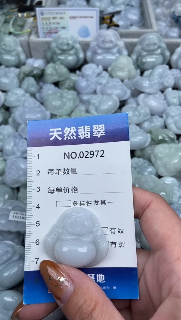 颈饰未镶嵌翡翠纯天然A货翡翠2972