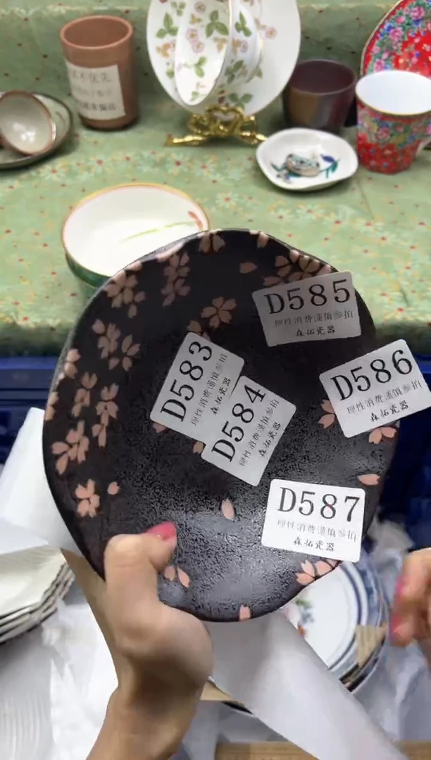 瓷片       D585