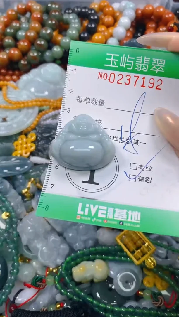 颈饰未镶嵌翡翠闪购0237192