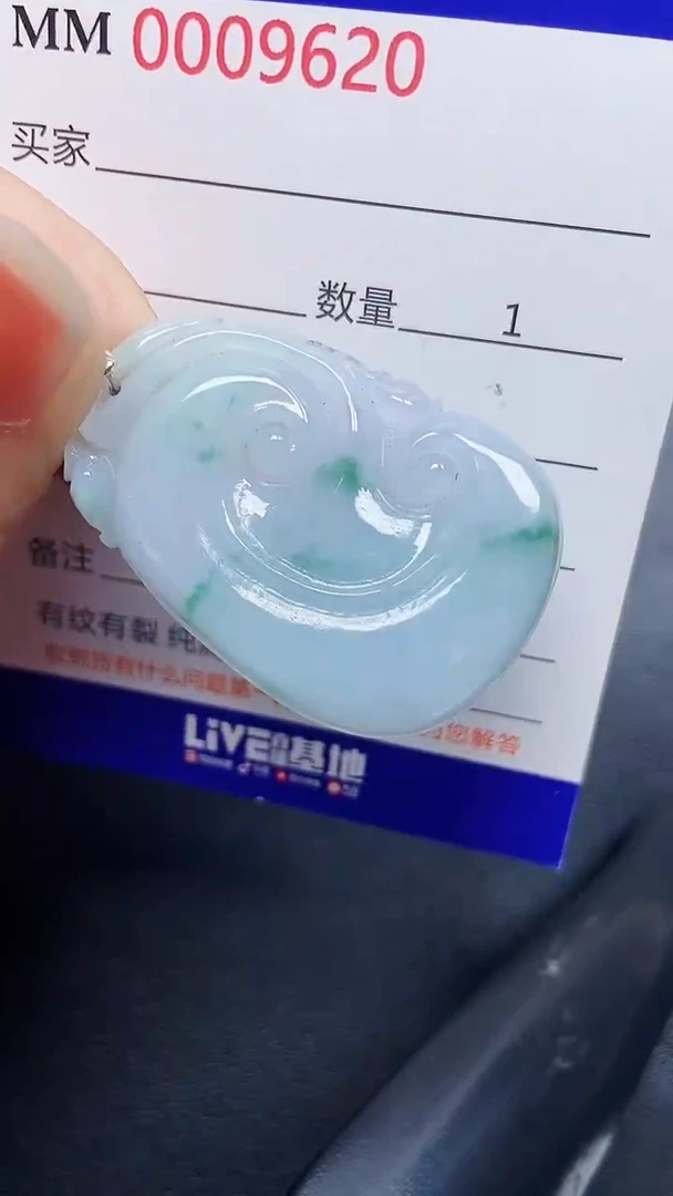 翡翠银S925镶嵌颈饰9620