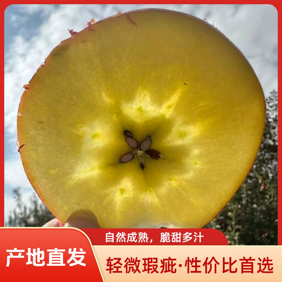 阿克苏冰糖心苹果高次果轻微瑕疵果性价比之选产地直发脆甜多汁