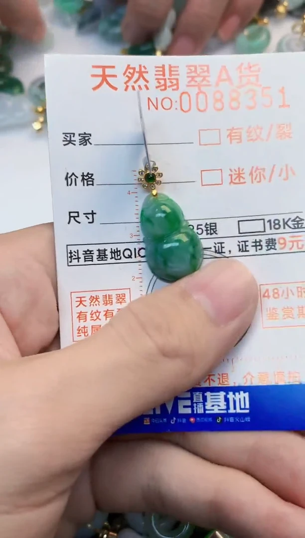 翡翠未镶嵌吊坠(不含链)1