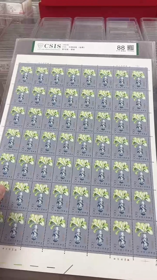 中国保险  大版