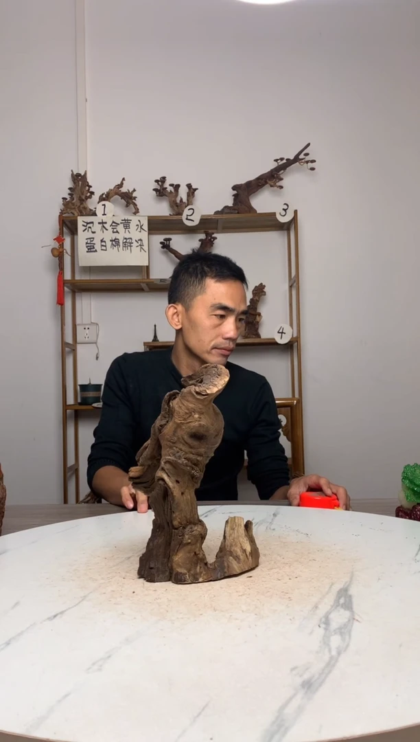 公**天鱼缸造景沉木摆件